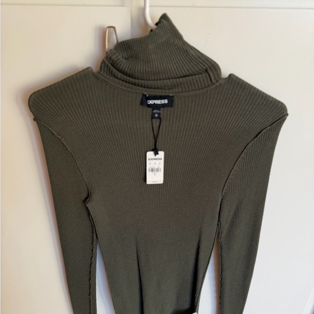 Express Olive Ribbed Turtleneck Sweater